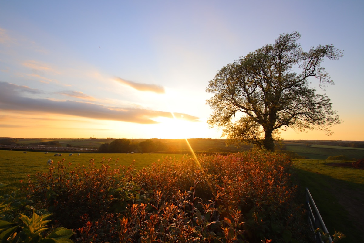 Bramble Cottage - Labdon Farm Mid Devon