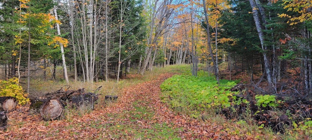 Cloud Mountain Hermitage ： Lakeshore、Woods、Sauna