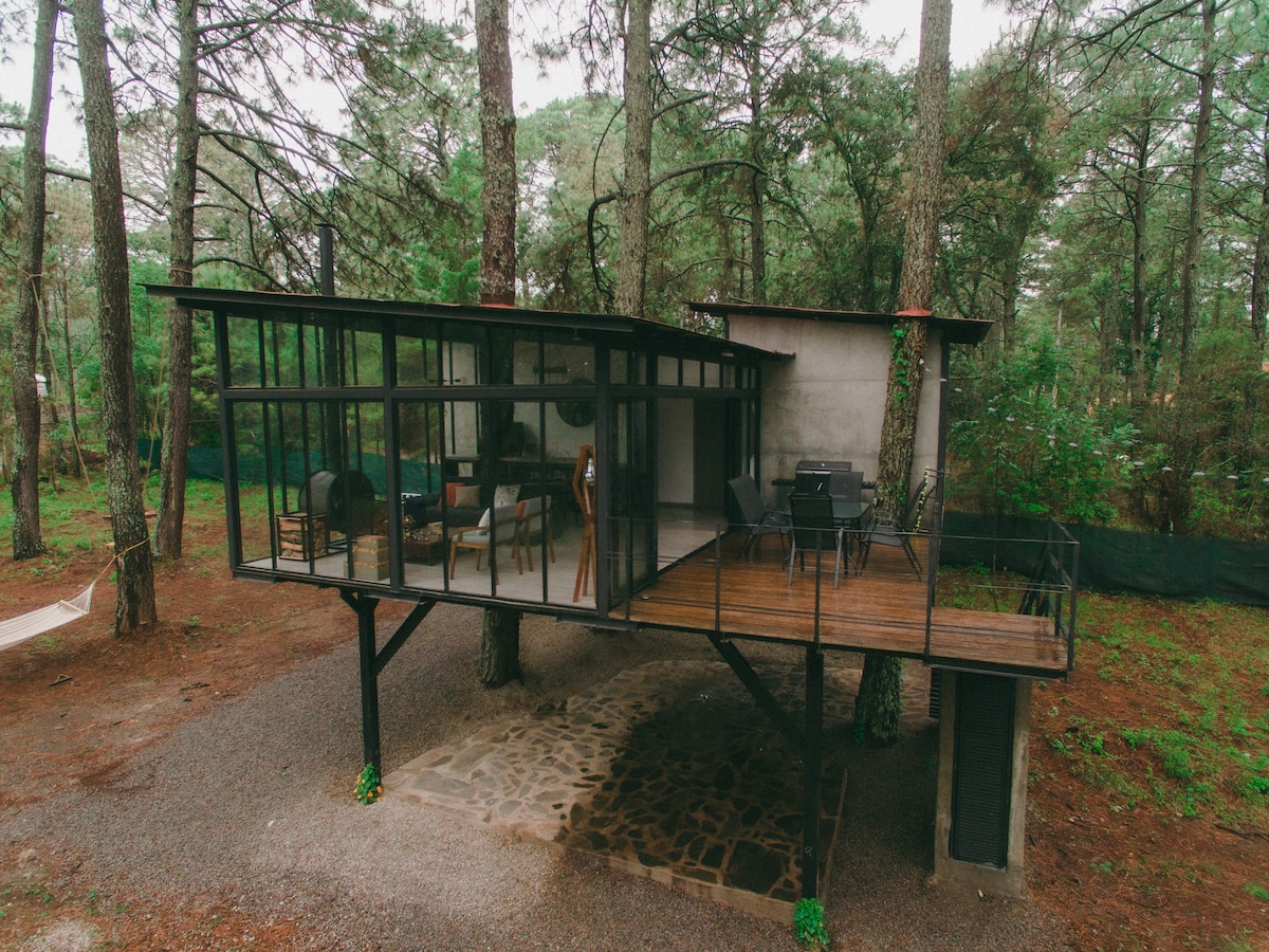 The Nest, Tree Cabin, Tapalpa A.