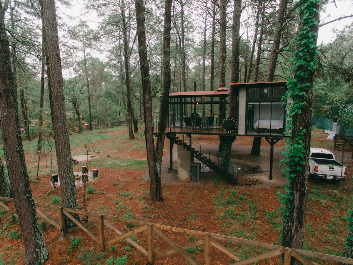 The Nest, Tree Cabin, Tapalpa A.