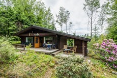 Cozy cottage with proximity to fishing | SE02005