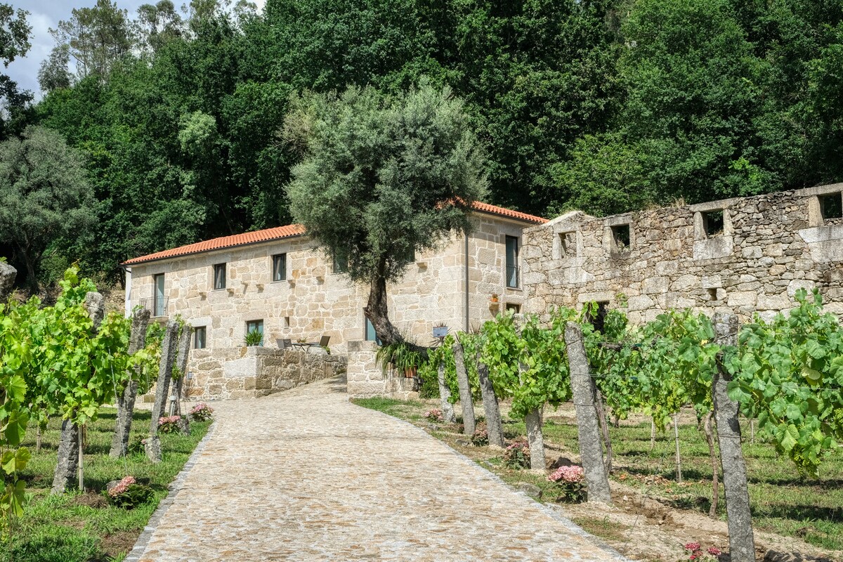 Quinta da Mourinha - Casa da Vinha