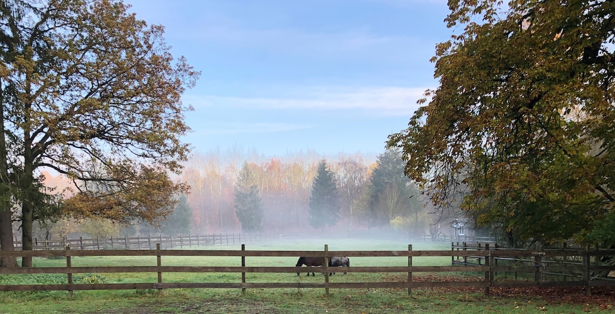 Wüsthof Dammerstorf Pitch & Camping bei Wald