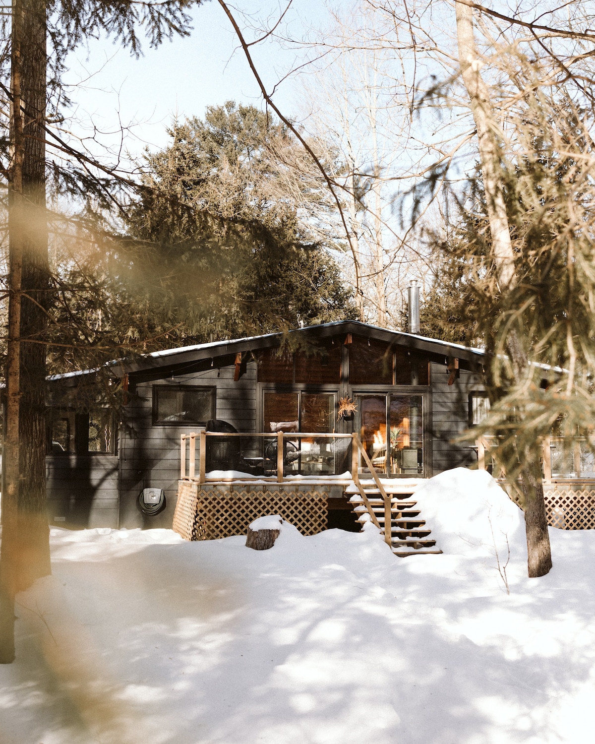 Black River Haus - Scandi River Cabin Muskoka