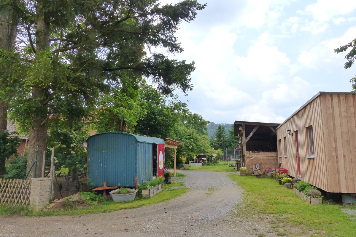 入住迷人的微型住宅