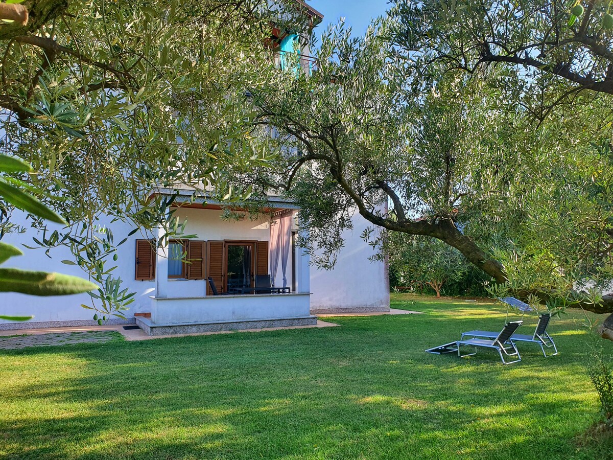 Apartment Meri Zambratija near the beach, garden