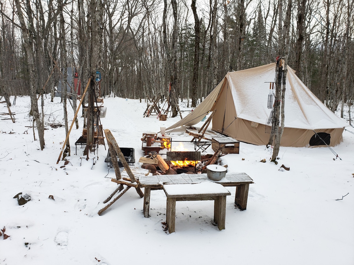 不豪华露营冬季热门帐篷和露营硬木森林