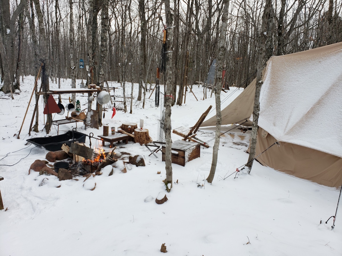 不豪华露营冬季热门帐篷和露营硬木森林
