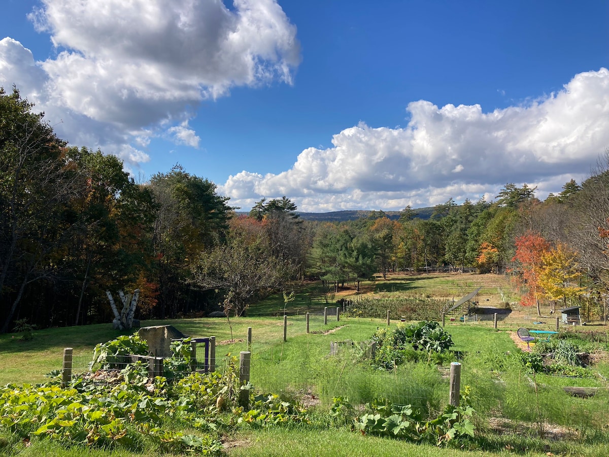 Abijah Manor at Zulip Farm