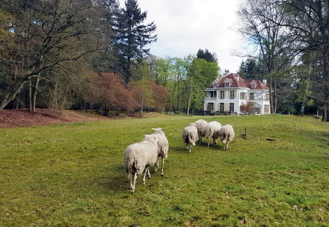 住宿加早餐套房Veluws Landgoed Winfried