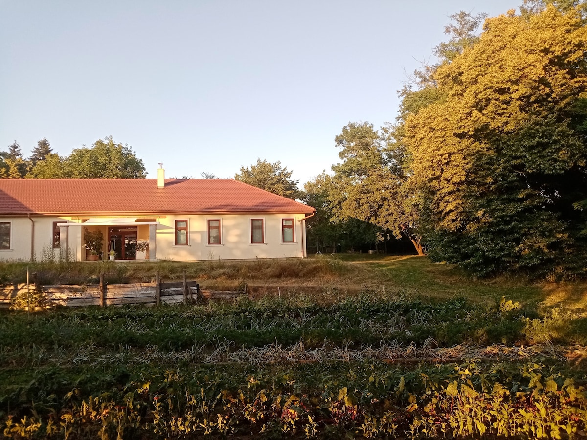 Mi Kertünk Apartman - csend, nyugalom, falusi élet