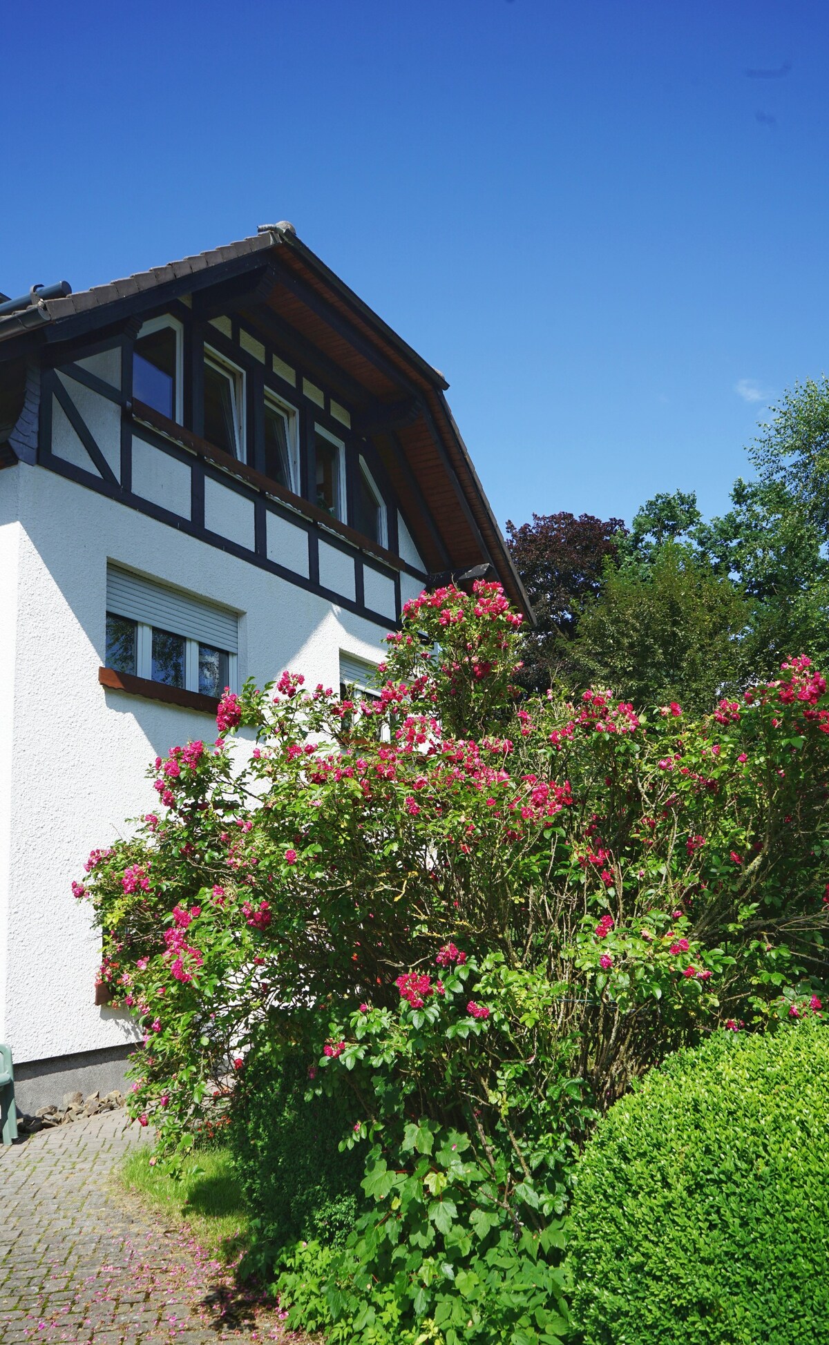 Ferienwohnung im Edertal