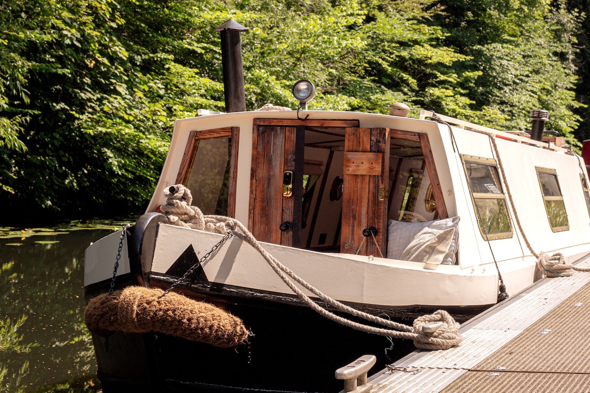 带室内壁炉的30英尺NARROWBOAT