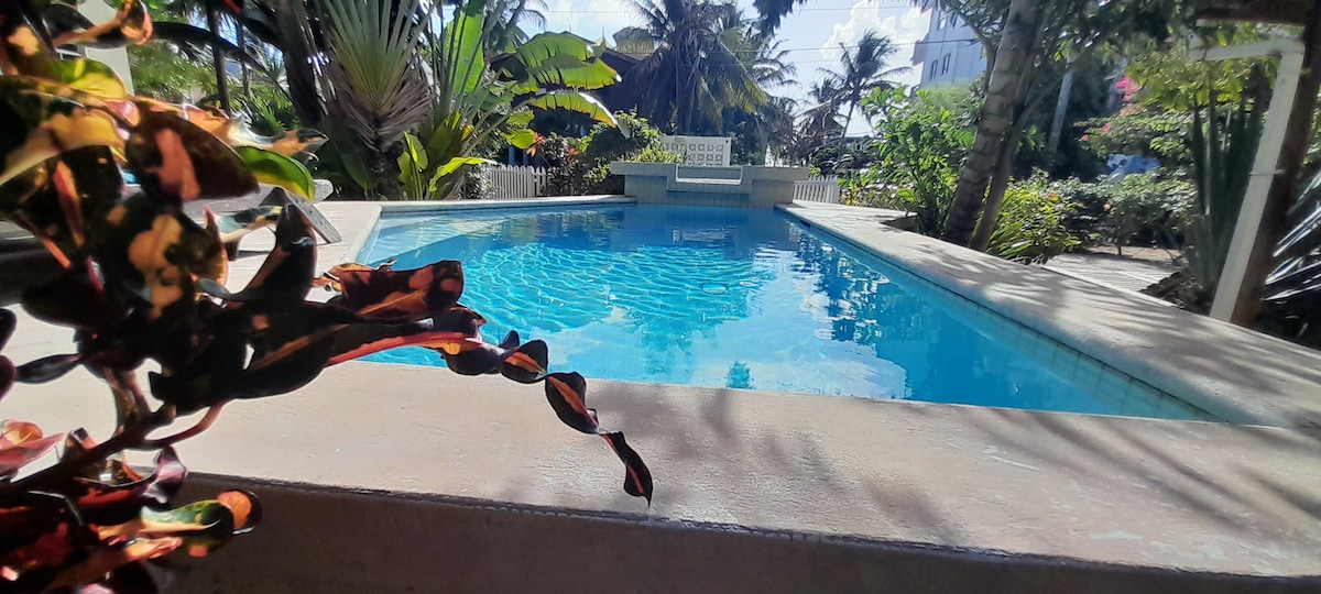 Casita Carinosa -泳池和热带花园