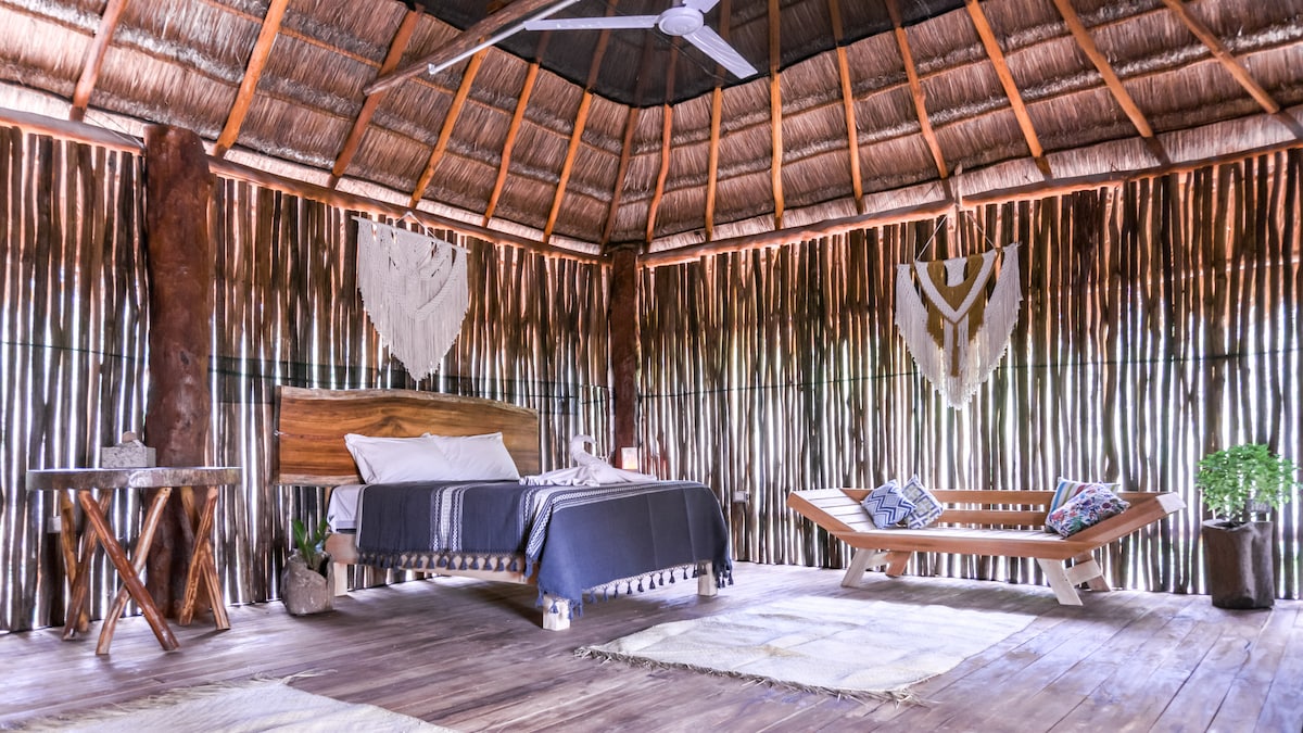 Paradise Suite I Jungla & estrellas