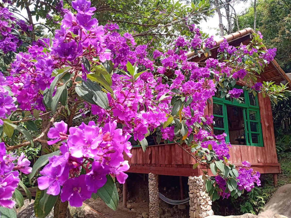 Rancho e chalé Vale do Jaborandy