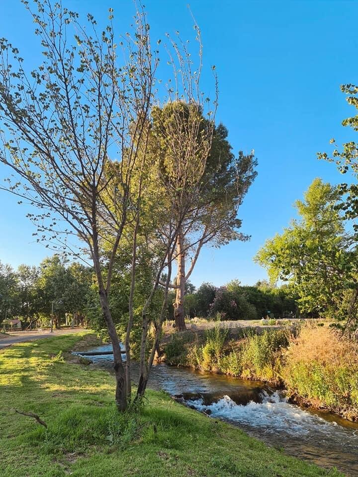 ׳הפינה בנחל׳  צימר פסטורלי על גדות הנחל בהגושרים