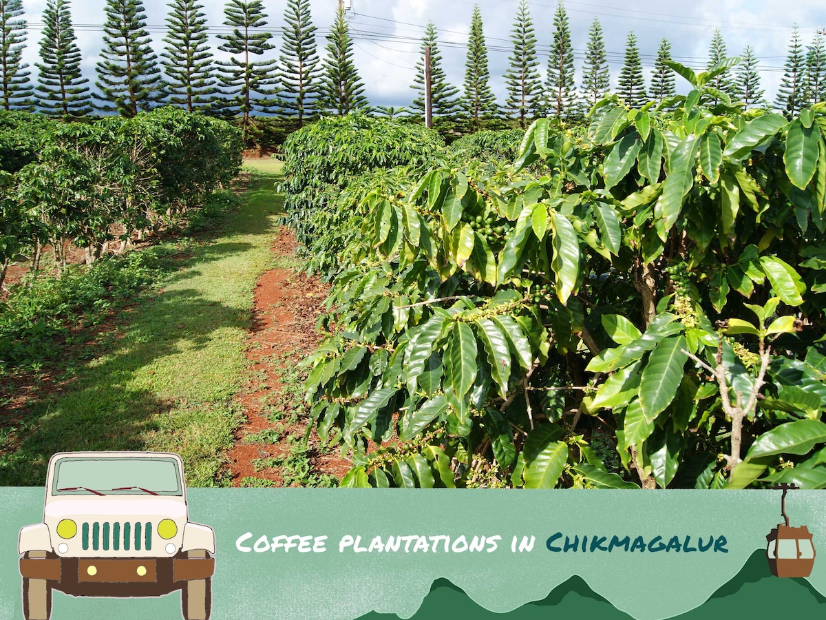 Pvt Cabin in a Coffee Plantation with all meals !