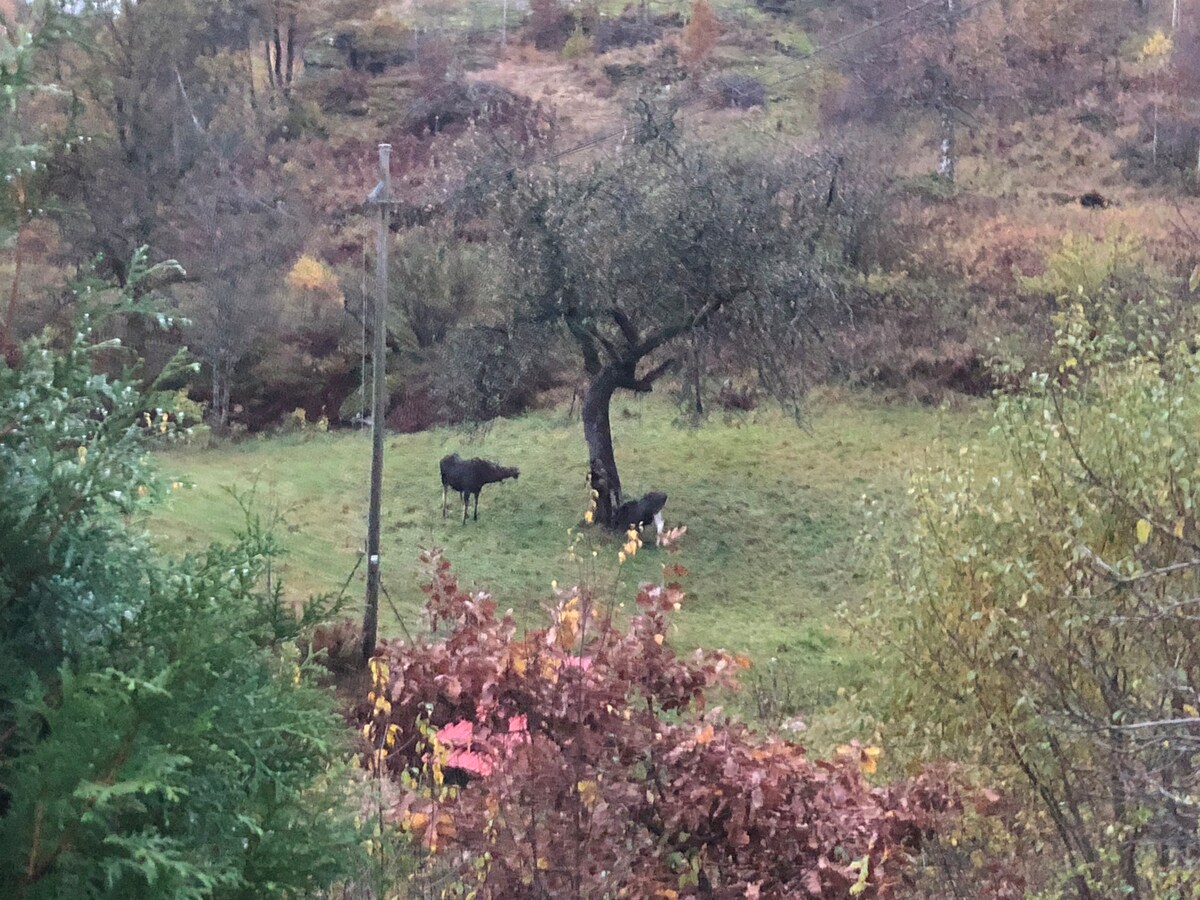 Flott  enebolig i landlige omgivelser