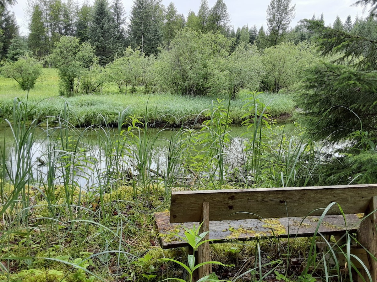 The Benches Cabin