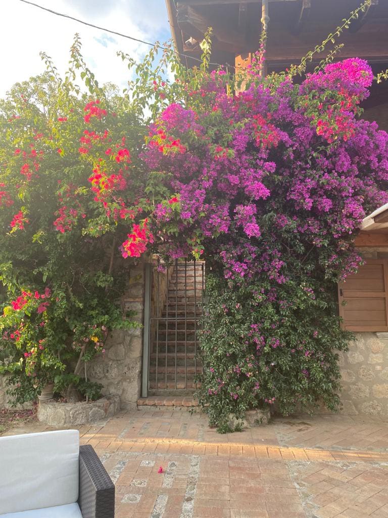 Casa Vacanze con vista su Capo Palinuro