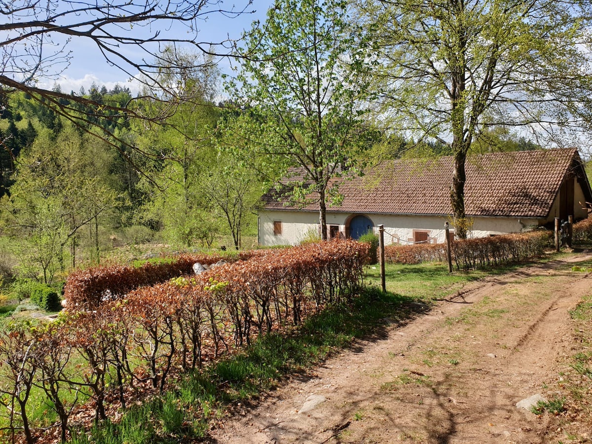 Ferme Gravier 10; Tuur in Nature