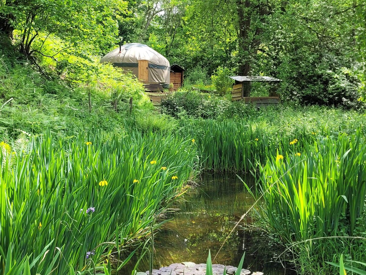 Dreamers Hideaway-Tranquil 1 bed yurt in Mid Wales