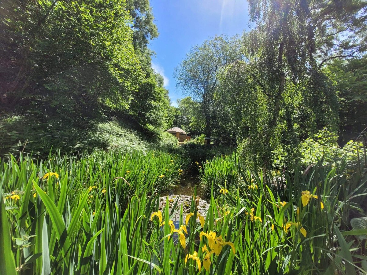 Dreamers Hideaway-Tranquil 1 bed yurt in Mid Wales