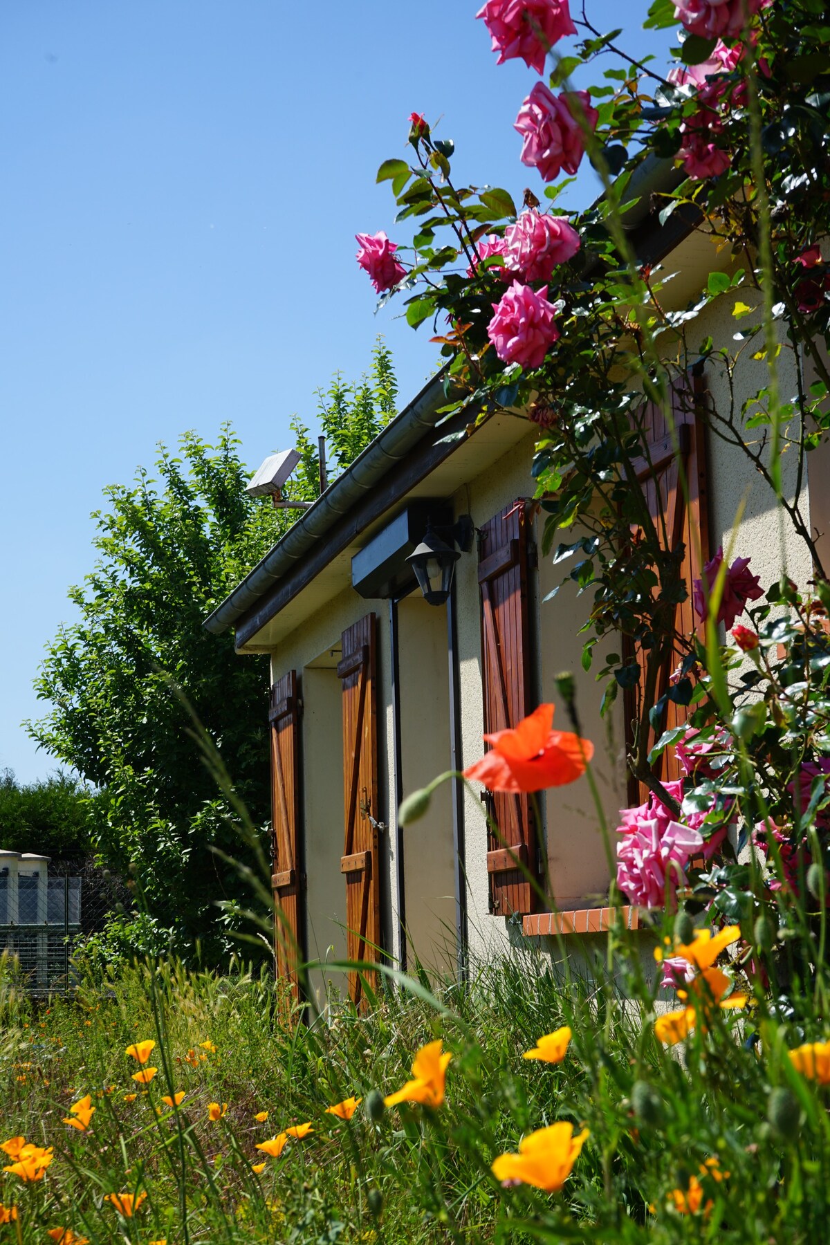 带花园的家庭住宅中的卧室。