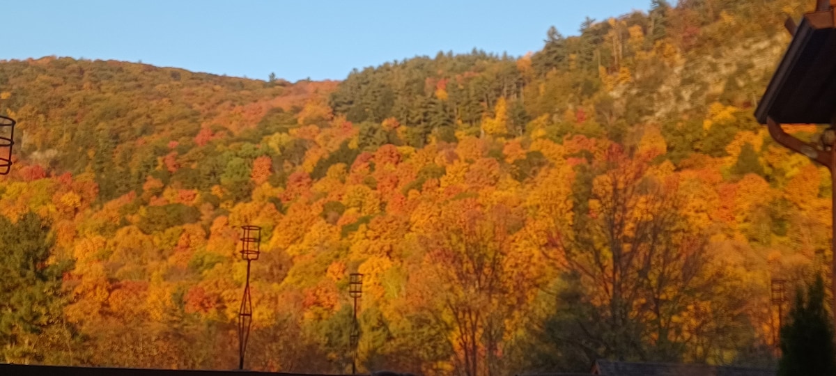 山上度假木屋，可欣赏山景和湖景，热水浴缸