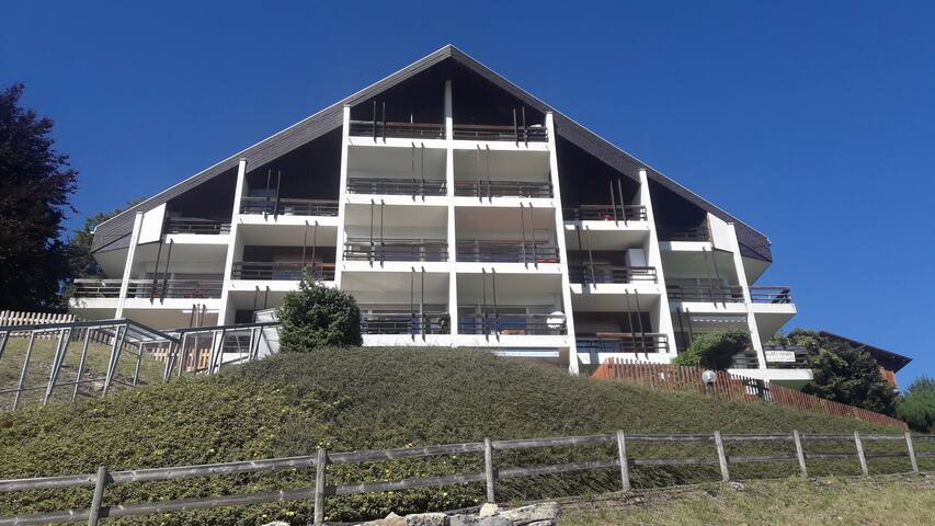 莱森 (Leysin)的民宿