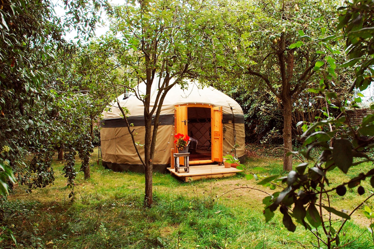 Orchard Yurt Glampsite with Private Hot Tub