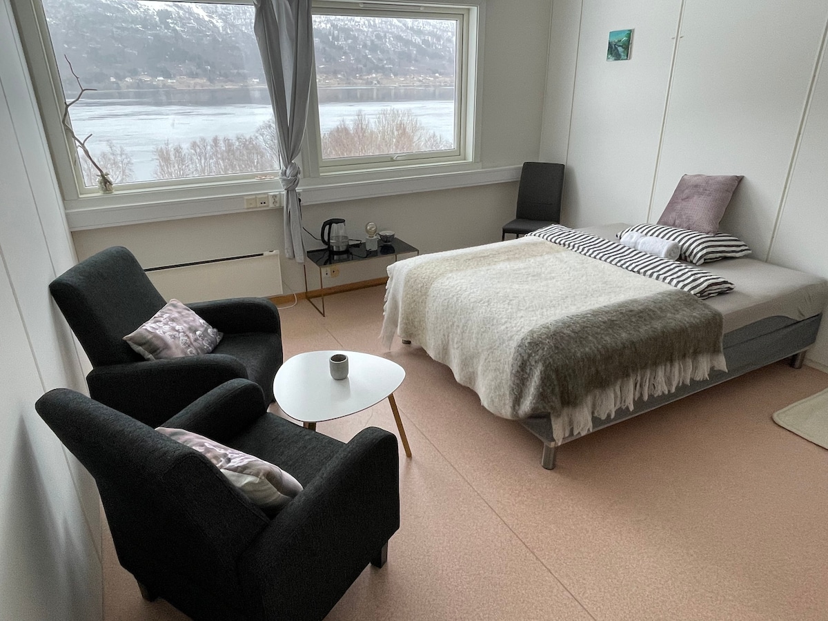 Tjeldøya豪宅单人间