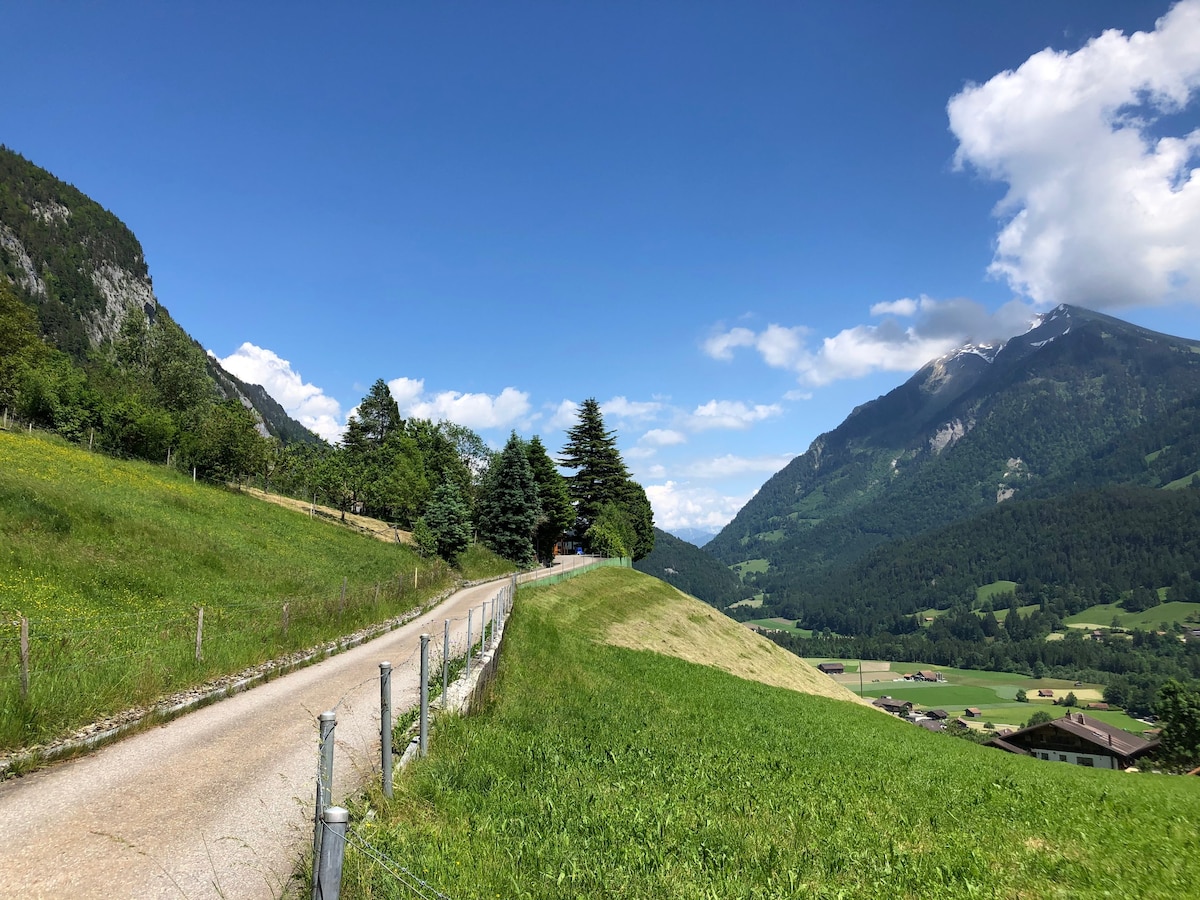 Studio mit Blick auf Berge und Diemtigtal 2