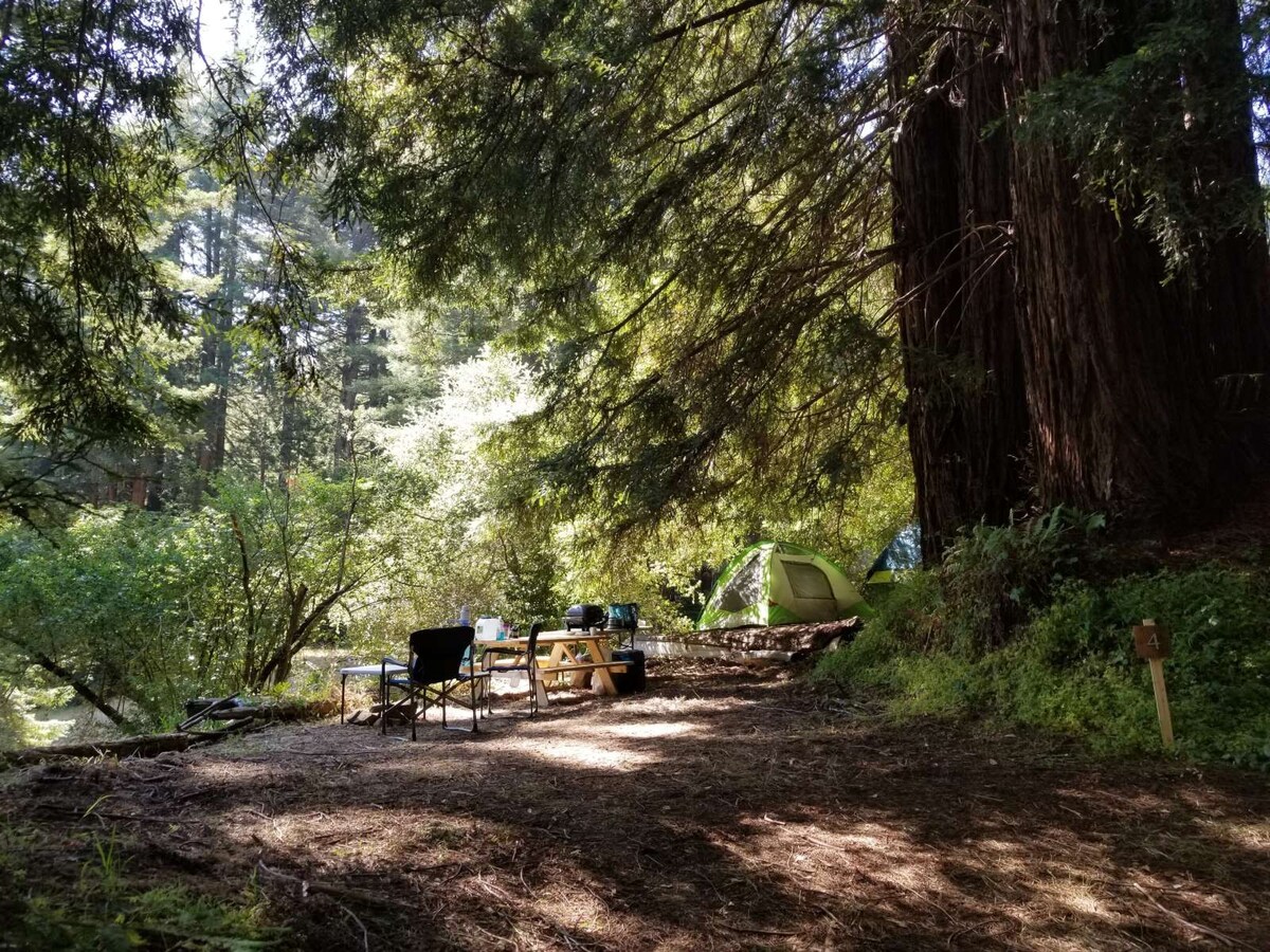 红杉林（ Redwood Forest ） 4号露营地-热水淋浴间