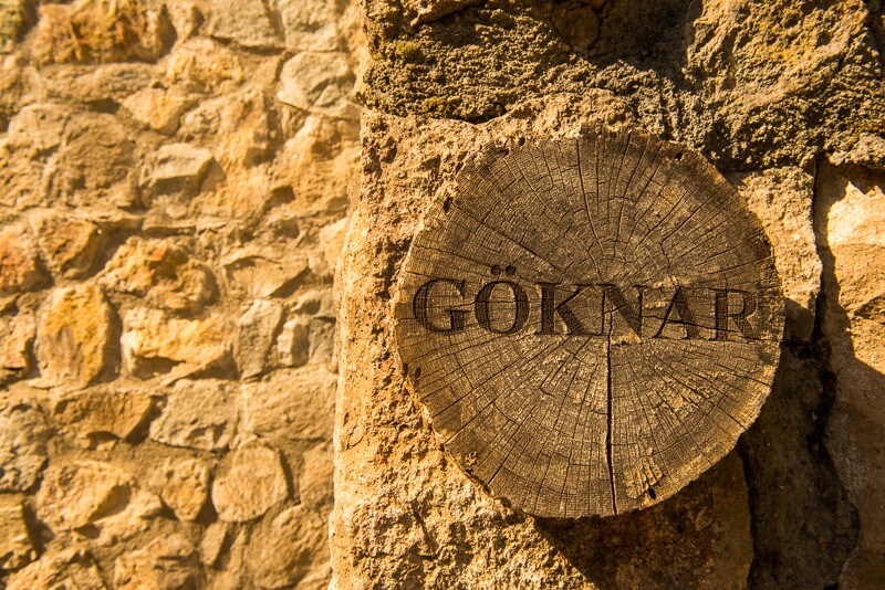 Goknar 2 | Hindiba Doga Evi | Bolu