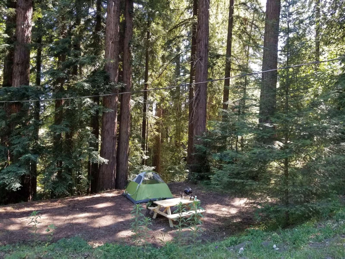 红木森林（ Redwood Forest ） 1号露营地-热水淋浴