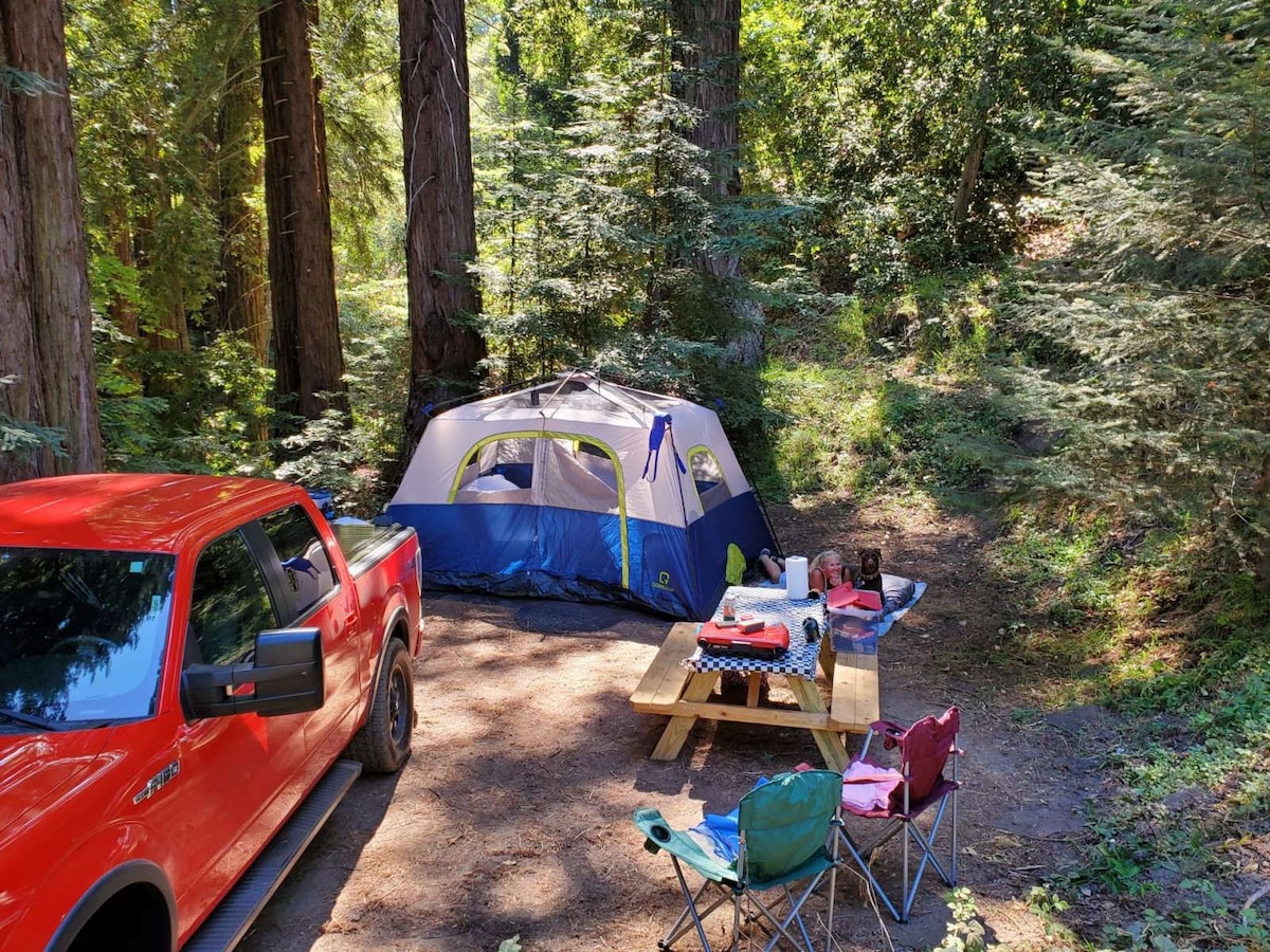 红木森林（ Redwood Forest ） 1号露营地-热水淋浴