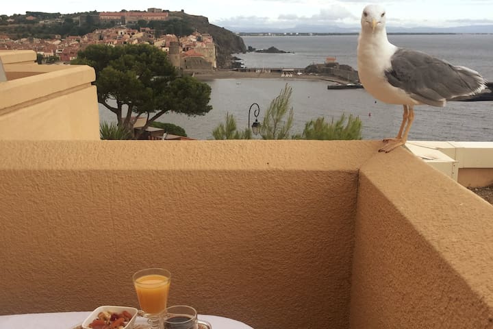 科利乌尔 (Collioure)的民宿