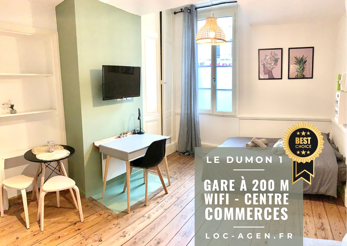 LE DUMON 1 ·单间公寓中心-无线网络· 5英尺
