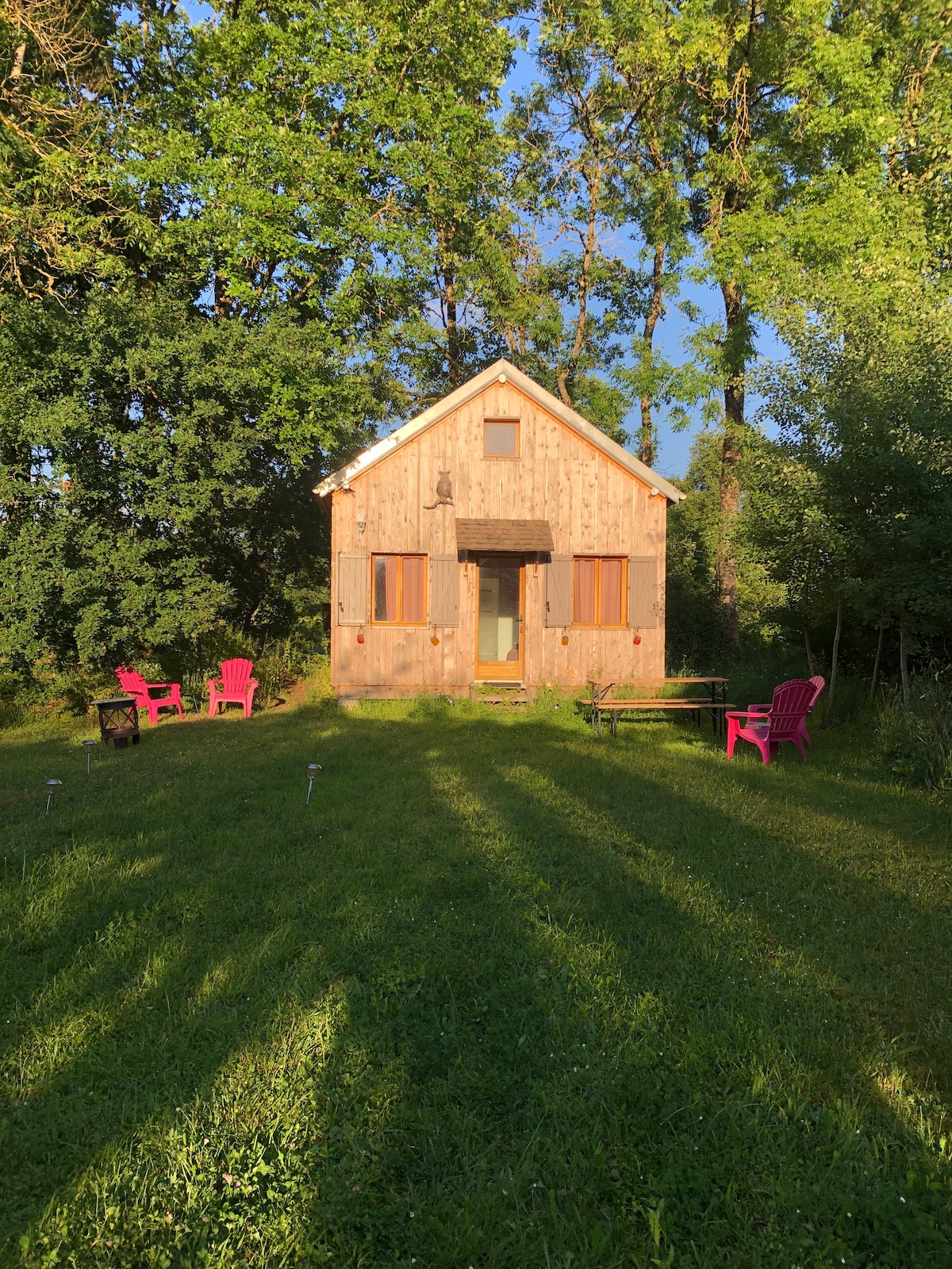 Tiny House Under Trees & Birds