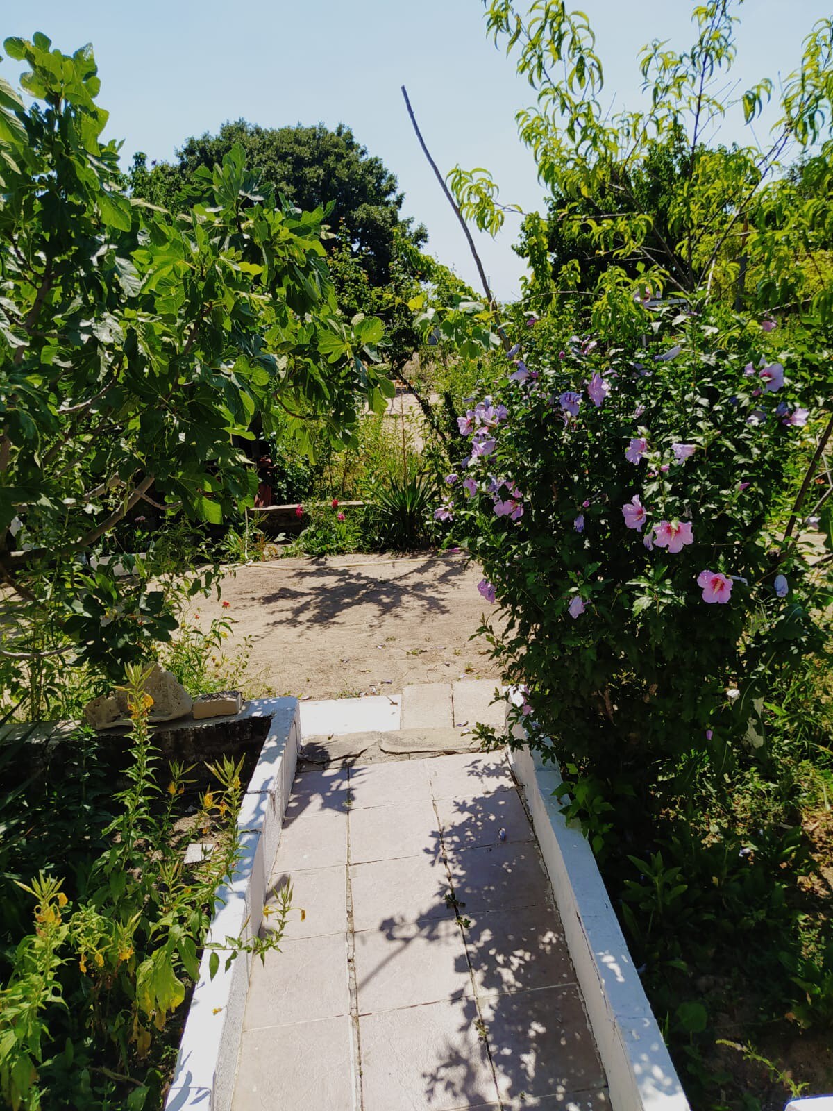 HAMAKLI, DENİZ VE ORMAN MANZARALI KIR EVİ