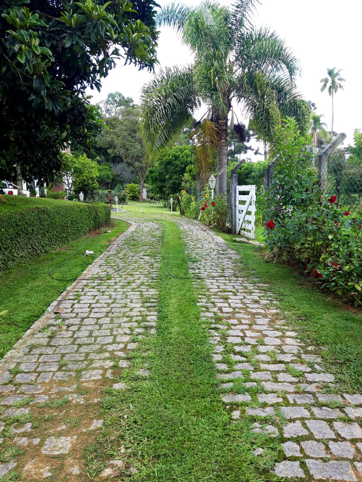 Chácara com casa de campo, em Mandirituba