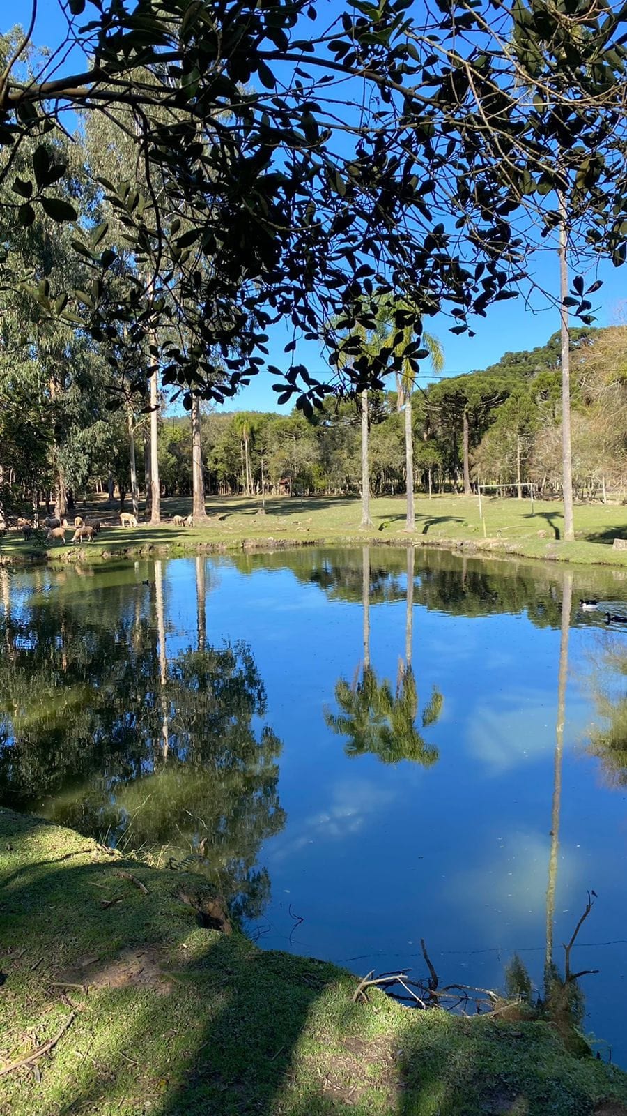 Chácara com casa de campo, em Mandirituba