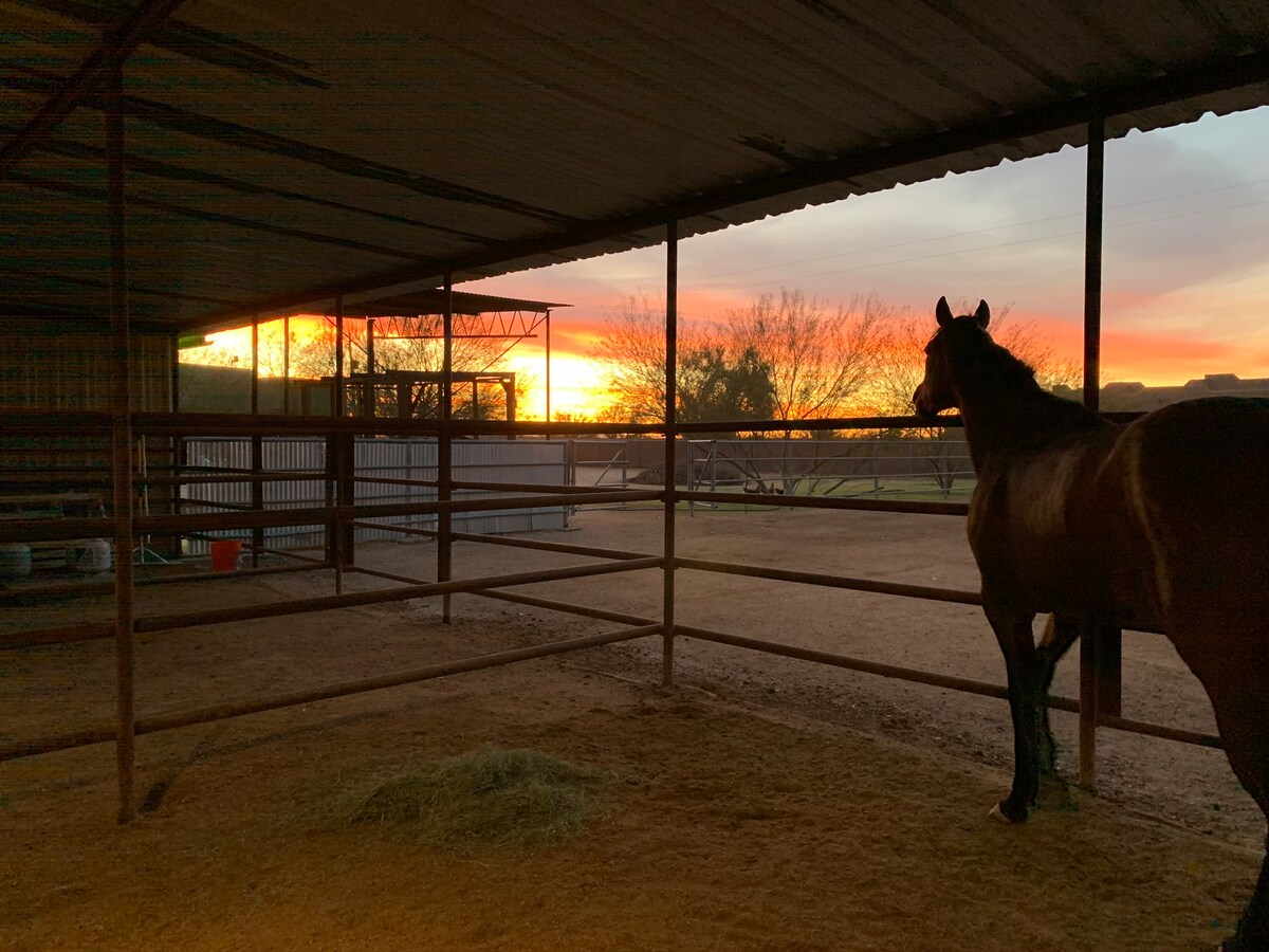 Beautiful Casita in the southwest!