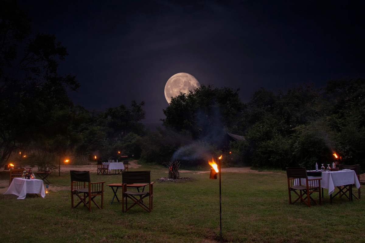 Yala Glamping with a Jeep Safari , Permits & Meals