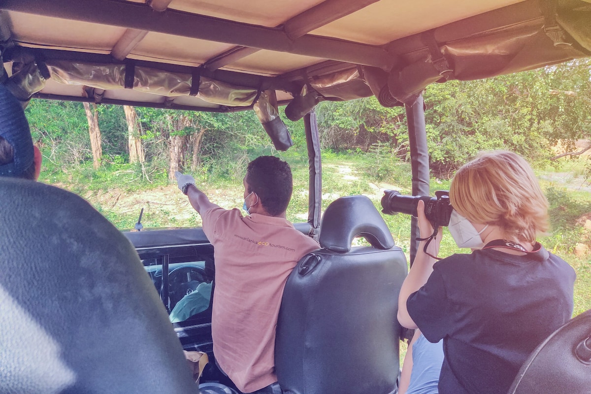 Yala Glamping with a Jeep Safari , Permits & Meals