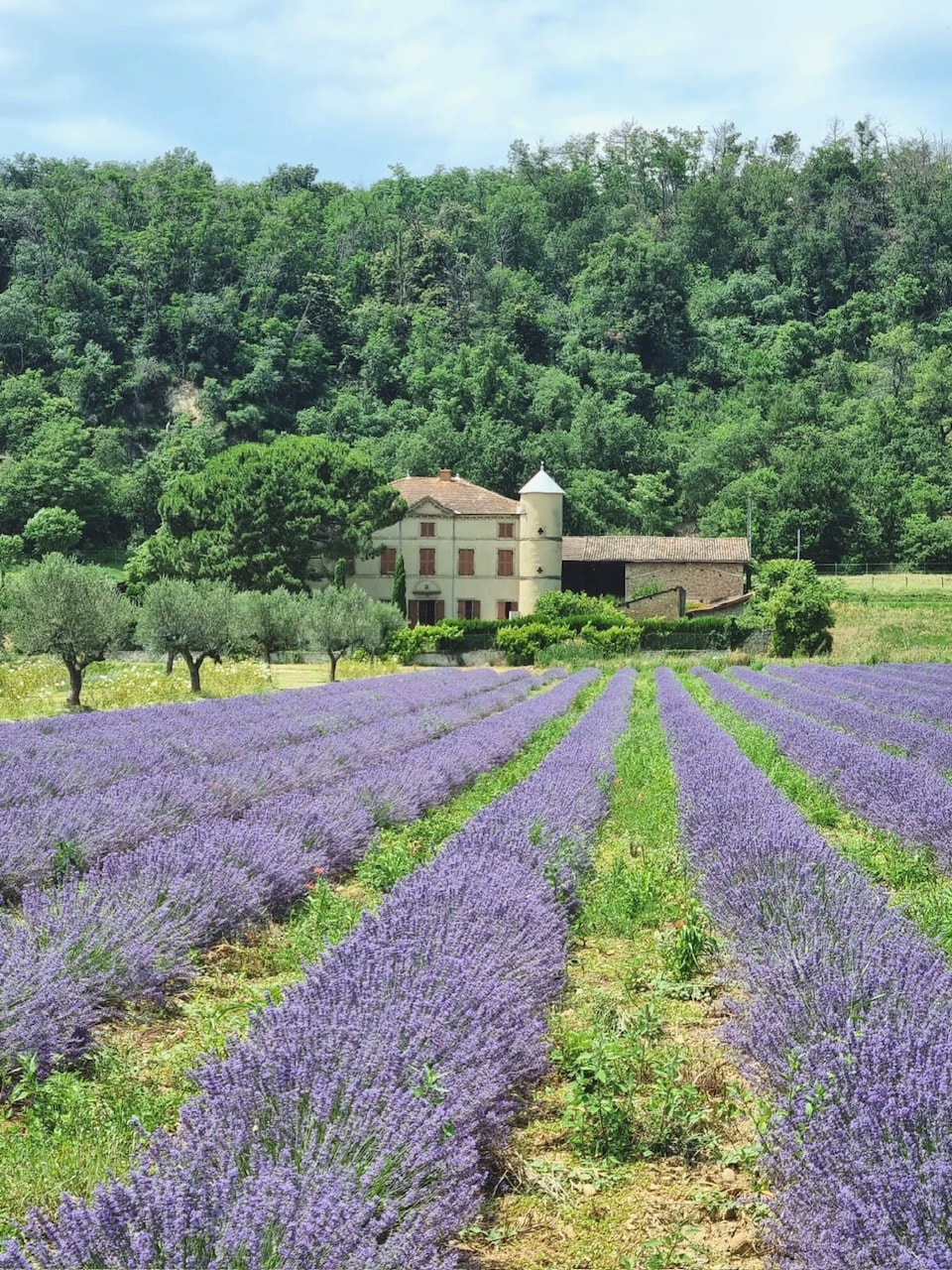 Domaine des Balmes ：距离城堡建筑90平方米