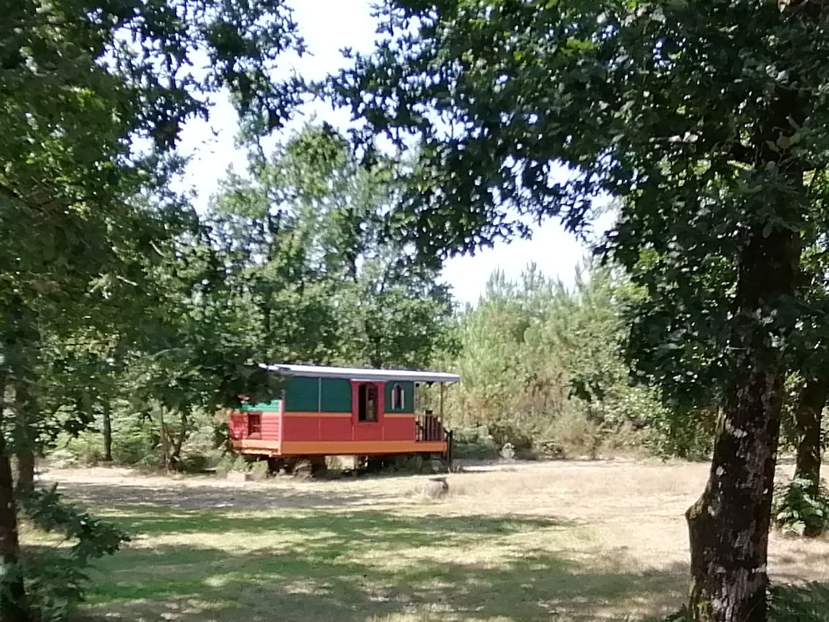 Roulotte tsigane en Landes océanes