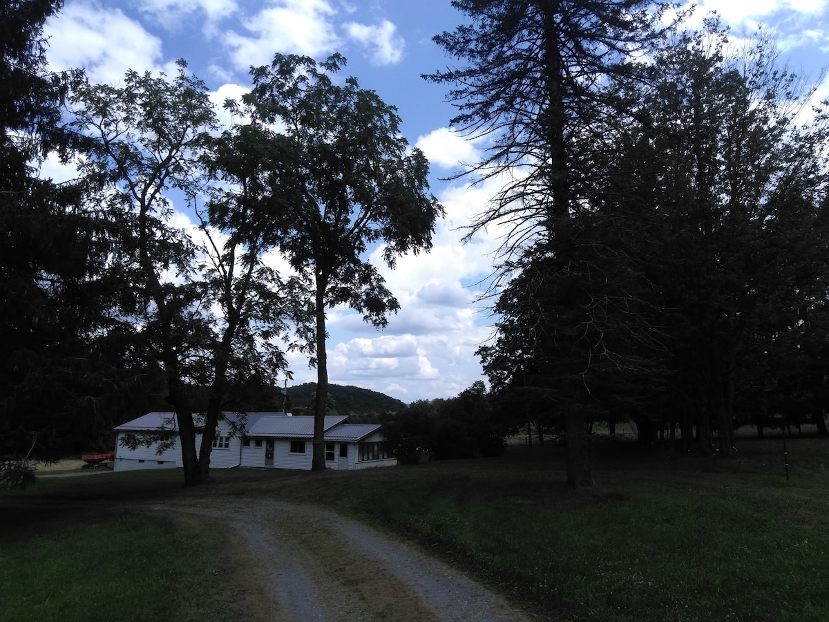 沃尔特和维拉的乡村小屋